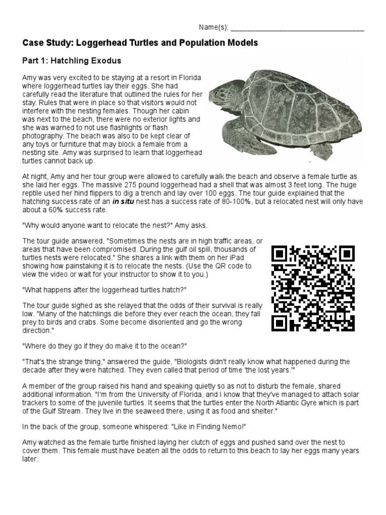 Case Study - Survivorship Turtles | PDF | Sea Turtle | Organisms