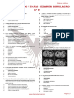 PE 18 - Examen Simulacro 9