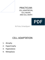 PRAKTIKUM CELL INJURY.pdf