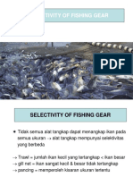 Selectivity of Fishing Gear - 2015
