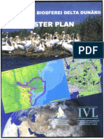 Master Plan RBDD PDF