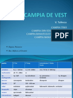 Campia de Vest