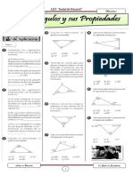 Triangulos y Sus Propiedades