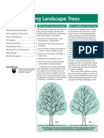 686pruning Trees