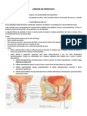 cancer de prostata diagnostico pdf