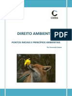 1. Pontos Iniciais e Princípios ambientais.docx