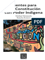 Fuentes Pata Una Constitución Con Poder Indigena