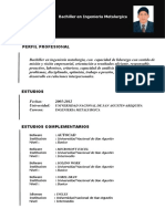 Perfil de Ingeniero Metalúrgico con experiencia en plantas mineras