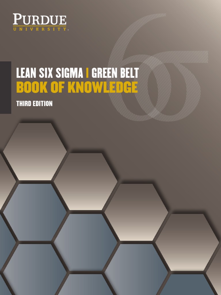 moe LSSGB BOK ThirdEdition2017 | PDF | Lean Manufacturing