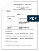 Informe de Callahuanca - Docx AVANZADO