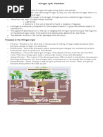 Nitrogen Cycle W Questions