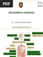 Aula 06 - Digestão de Macromoléculas
