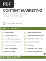 Content Marketing Benchmark Report