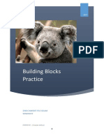 Building Blocks Practice: Enrichment Program