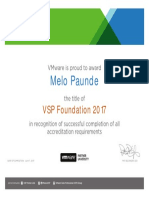 VSP Foundation 2017 - Melo Paunde
