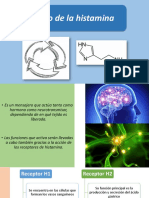 Ciclo de La Histamina