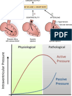 Cardiovascular Regulation - Physiology