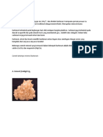 17137075, Ade Fikri, Deskripsi Mineral Karbonat Nitrat Dan Borat