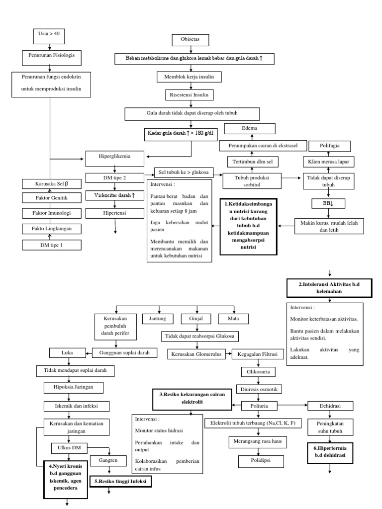 Pathway Kelompok 1 DM PDF