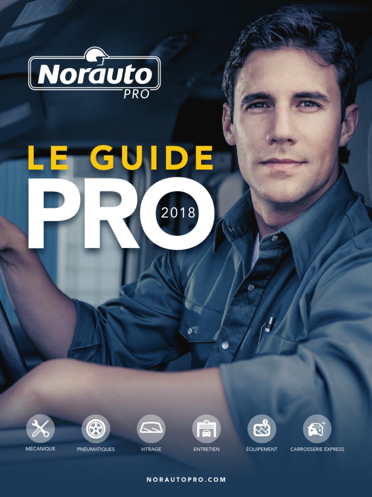 Antivol pédale-volant NORAUTO disponible sur norauto.fr 