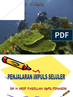 Penjalaran Impuls Seluler 2