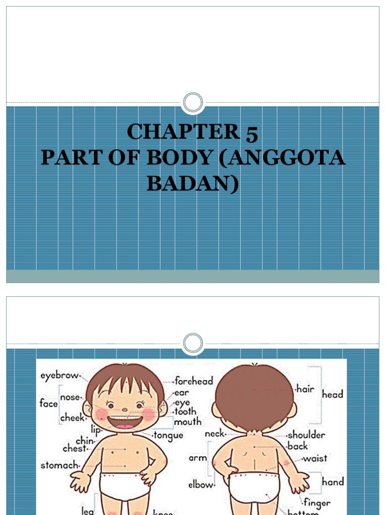 Bab 5 Part Off Body (Anggta Badan) | PDF