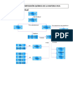 Mapa Conceptual 0