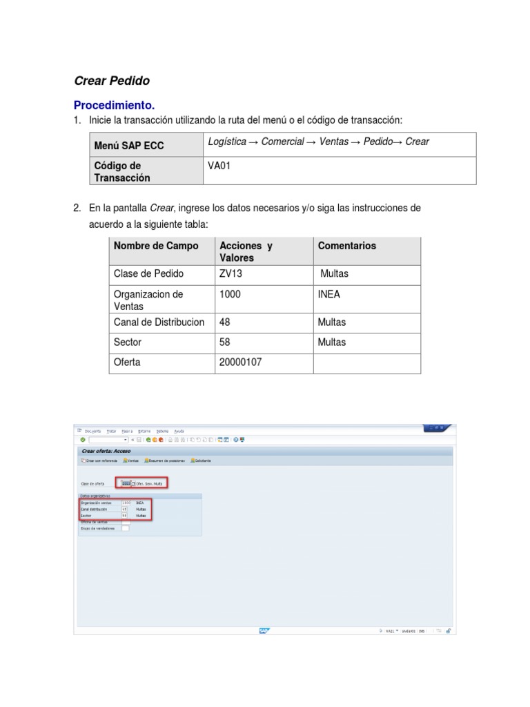 Crear Pedido en SAP VA01 | PDF | Finanzas y dinero