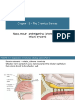 Neuroscience6e ch15 Chemical Senses