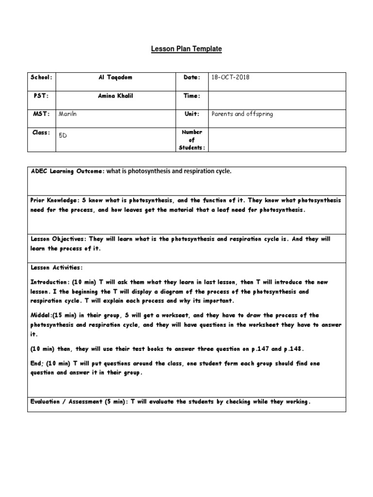 Lesson Plan 3 | PDF