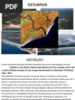 Aula_13_Estuarios.pdf