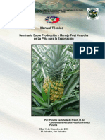 151948546-Manual-pina-costa-rica.pdf