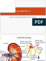 Kelompok 5: Gagal Ginjal Kronik Pada Anak