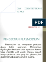 Morgologi Dan Identifikasi Plasmodium Vivax