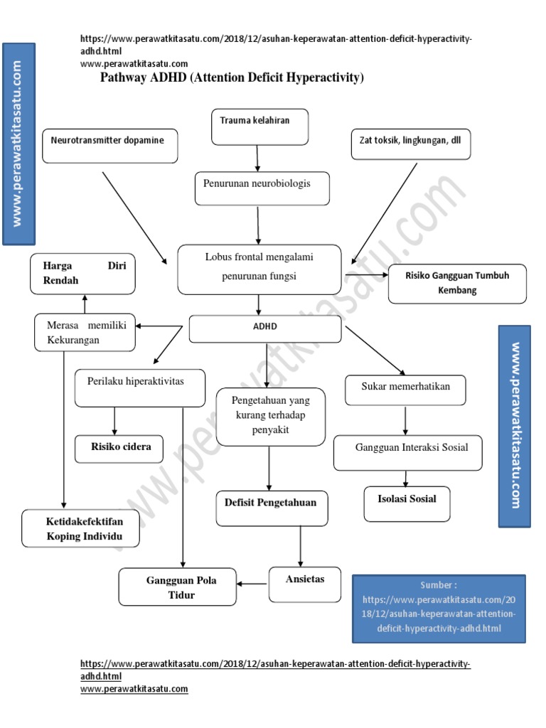 Pathway ADHD | PDF