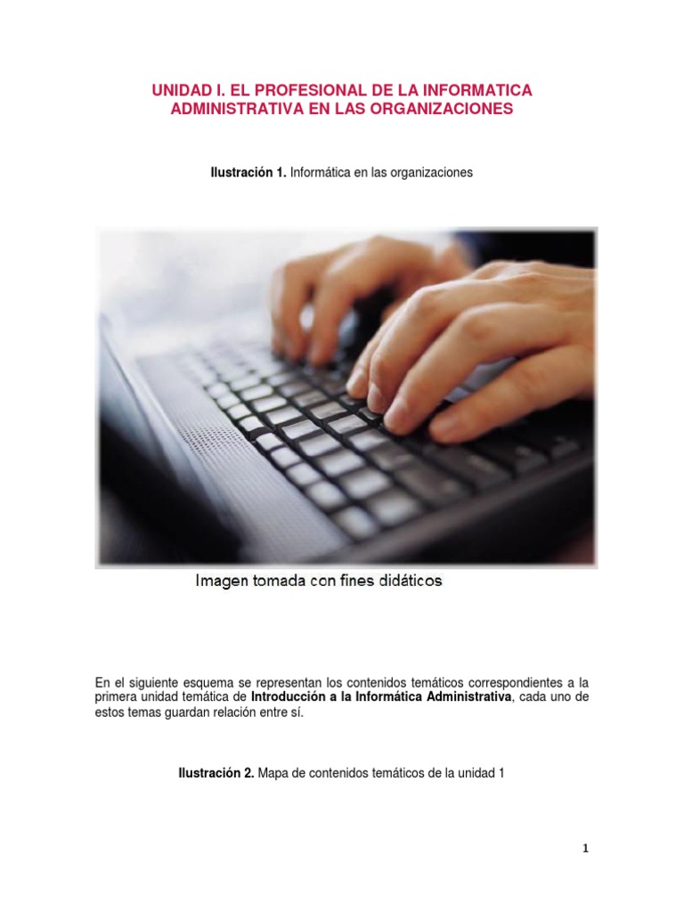 Rol del Licenciado en Informática Administrativa | PDF | Unidad Central ...