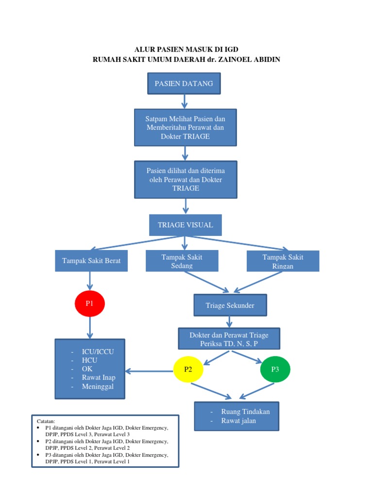 Alur Pasien Masuk Di Igd | PDF