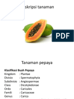 Deskripsi Tanaman PPT Belum Diedit