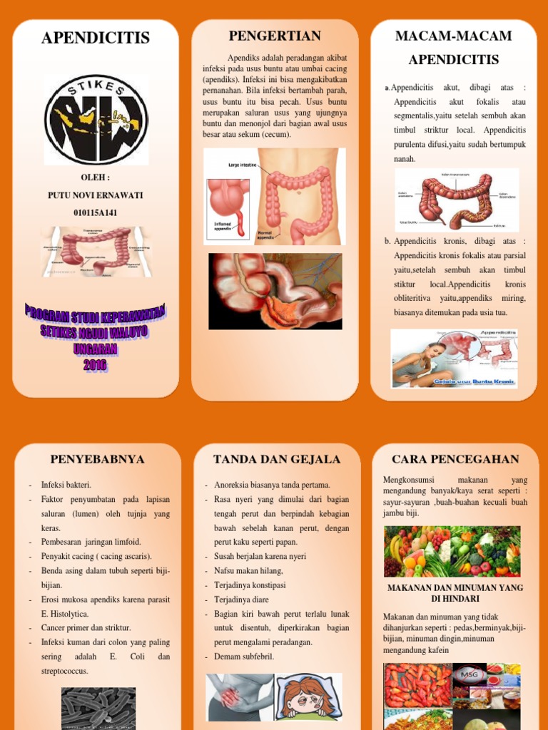 Edukasi dan Penanganan Apendisitis | PDF