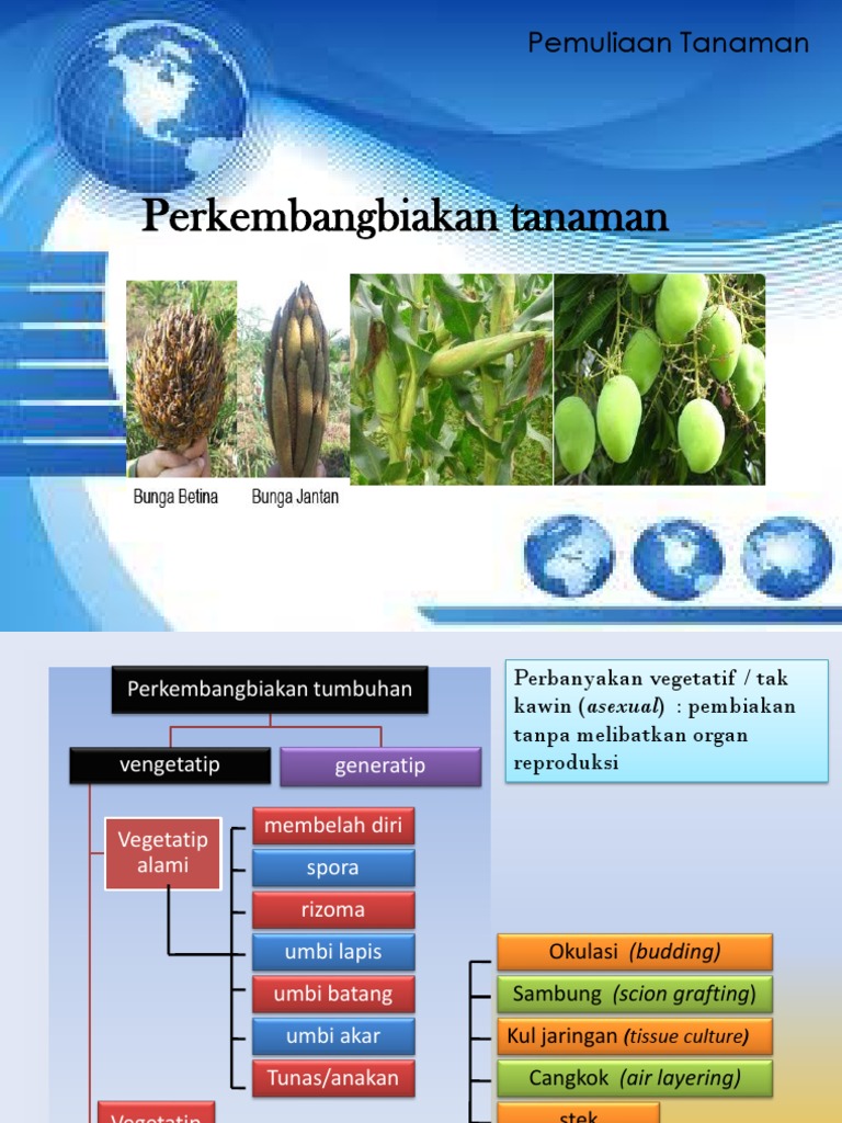 Laporan Praktikum Perkembangbiakan Tumbuhan Struktur Bunga