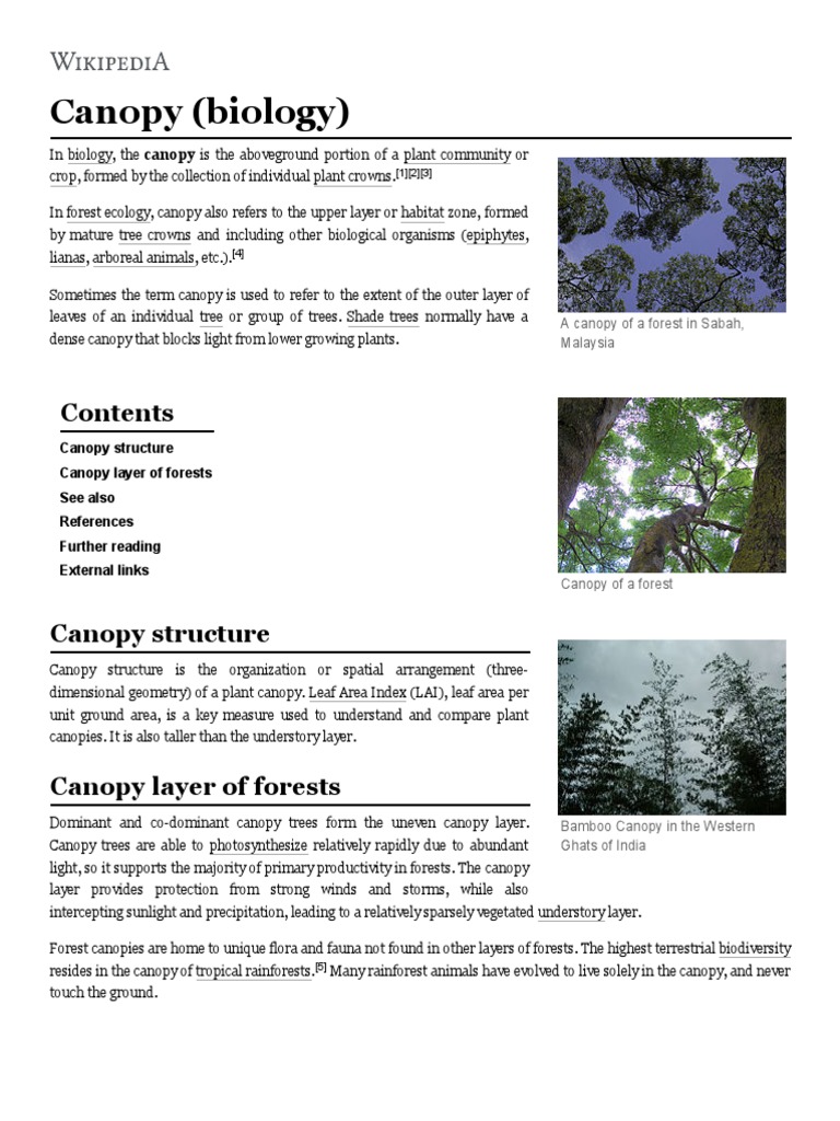 Canopy (Biology) Wikipedia PDF Canopy (Biology) Botany