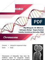 Presentasi BMS 1 Kromosom