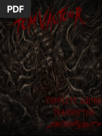 Shredding Sanity Complete Guitar Trascription