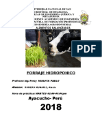 Alimentos Balanceados Forraje Hidroponico