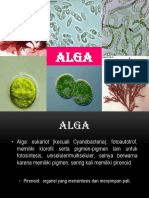 Alga