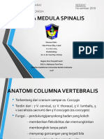 Cedera Medula Spinalis: Bagian Ilmu Penyakit Saraf Fakultas Kedokteran Universitas Muslim Indonesia Referat November 2018