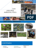 Linea Base Ambienntal - Cenesam - LBF PDF