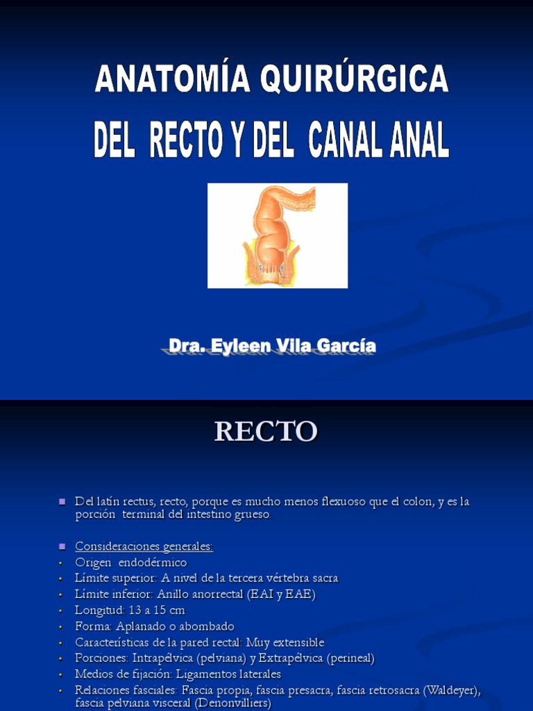 Antomia Quirurgica de Ano y Recto | PDF