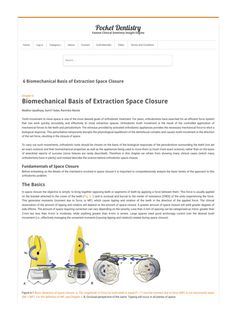 Biomechanics of Orthodontic Space Closure | PDF | Orthodontics | Tooth