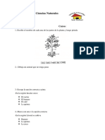 Tema de Matemáticas